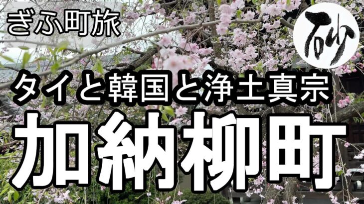 【ナイスなシニアのぎふ町旅＠加納柳町】岐阜県岐阜市（2026年04月07日）