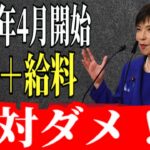 【ルール変更】2026年4月から年金をもらいながら働く人は要注意｜知らないままだと手取りが減る可能性も…在職老齢年金65万円基準の本当の影響を徹底解説#在職老齢年金#年金制度#2026年年金改正