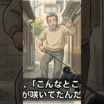 【やめてください！？】老後の節約/本当に必要な3つのこと #シニアライフ #名言 #年金事務所 #年金事務所 #60歳代 #60代 #50代 #お金