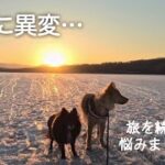 シニア犬に異変…旅を続けるか中断するか悩んだ4泊目〜2月の道南キャンピングカー旅③