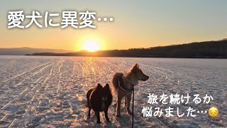 シニア犬に異変…旅を続けるか中断するか悩んだ4泊目〜2月の道南キャンピングカー旅③