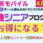 4月最新【65歳からのスマホ節約術】楽天モバイル「最強シニアプログラム」でいくらお得になる？