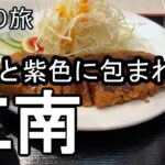 【ナイスなシニアの日帰り旅＠江南#5】愛知県江南市（2026年04月13日）