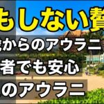 52歳で出会い、60代で辿り着いた境地。アウラニで過ごす「何もしない贅沢」が最高な理由