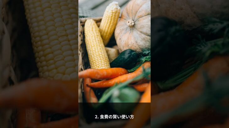 毎月5万円節約！シニアの最新節約術3選