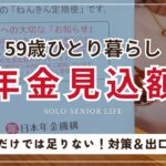 【ねんきん定期便】59歳一人暮らしの年金見込額公開します｜老後のリアルな現実｜今後の対策＆出口戦略