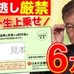 🪭【絶対申請して！】毎年6万円が年金に一生上乗せ！／申請するだけで得する制度を徹底解説！🪭