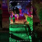 敦盛桜あつもりざくら #シニアライフ #旅行 #60代 #vlog #桜 #夜桜 #神戸 #観光