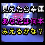 伏見稲荷を思い浮かべて、鳥居を作ったよ６０代シニア年金生活のじじ。お金を節約して孫と工作しながら遊ぶ。節約、貯金、殖やす大切さ。「じじと孫：秘密の貯金箱」#シニア,#60代,#日常,#DIY,#工作,