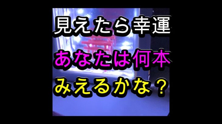 伏見稲荷を思い浮かべて、鳥居を作ったよ６０代シニア年金生活のじじ。お金を節約して孫と工作しながら遊ぶ。節約、貯金、殖やす大切さ。「じじと孫：秘密の貯金箱」#シニア,#60代,#日常,#DIY,#工作,