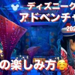 【シニアライフ】64歳で初体験！ディズニークルーズの楽しみ方11選【費用も公開】【定年後にやりたい100のこと】#423