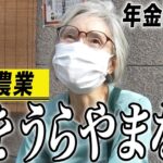 【年金の実際】他人をうらやまない…パートでイチゴを生産…一人旅は主婦の休暇…66歳女性 パート農業の年金インタビュー