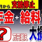 🪭【超重要】6月から年金が激減！60歳以降に年金を受給しながら働く人は知らないと大損する在職老齢年金とは？年金カット早見表を公開【老齢基礎年金・老齢厚生年金】🪭