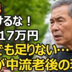 72歳、年金月17万円でも生活困窮。毎月赤字…真面目に40年働いたのに「老後は安泰」という約束は守られなかった