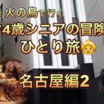 74歳シニア/冒険ひとり旅/名古屋 炭焼 うな富士 名駅店/ランチ