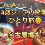 74歳シニアの冒険ひとり旅/名古屋まで近鉄特急火の鳥/名古屋飯/大阪難波駅から近鉄乗り場まで