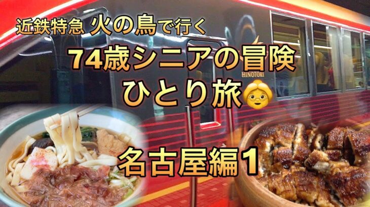 74歳シニアの冒険ひとり旅/名古屋まで近鉄特急火の鳥/名古屋飯/大阪難波駅から近鉄乗り場まで