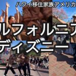 【79才母】シニアと行く旅♡孫とアメリカ旅行したら想像以上に楽しすぎでした（ディズニー編）