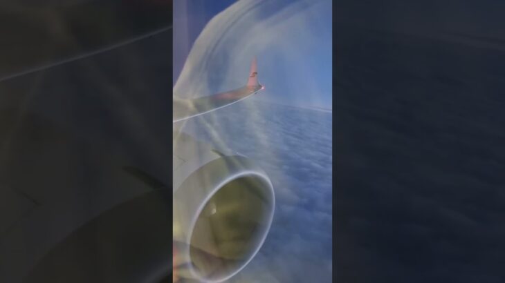 FLY. #seniortravel #shorts