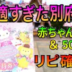 【さんふらわあ 子連れ 別府旅 】株主優待を使ってお得に旅行🚢 Ferry from Osaka to Beppu Japan | Family Trip & Sanrio Harmonyland