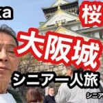 #Osaka.大阪、#大阪城、🌸桜開花、#シニア一人旅、#シニアルーティーン