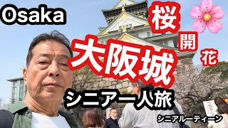 #Osaka.大阪、#大阪城、🌸桜開花、#シニア一人旅、#シニアルーティーン