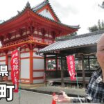 【シニアの一人旅Vlog】広川町の海辺で地元グルメを味わう | 田舎町の隠れた魅力