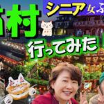 【シニア旅／台湾Vlog】猫の楽園、猫村が楽しすぎた！異世界トロッコ体験と、基隆・九份も堪能。