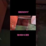 同世代の方へ、よく食べ、旅して過ごすだけ。そんな頑張らない暮らしを記録しています。よろしければチャンネル登録お願いいたします。  #Vlog  #50代  #グルメ  #ひとり旅　#シニア