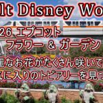 WDW フロリダディズニー シニア夫婦旅 2026 EPCOTフラワー＆ガーデンフェスタ編