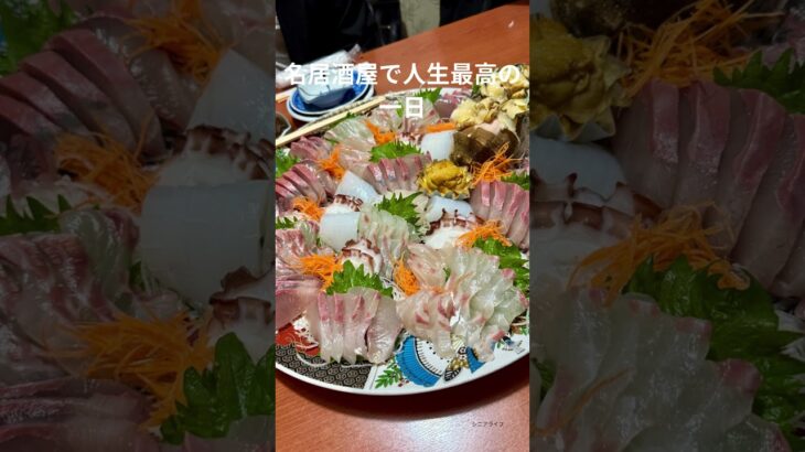 ”温泉と刺身が別格すぎた ”シニア旅にも最高！天草で癒しと絶品グルメを満喫#nikoshiba #シニアライフ