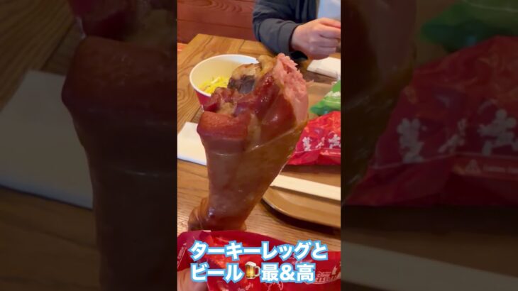 呑気な夫婦ディズニーランドに行く #shorts  #シニア旅