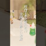 【湯河原】店内に水が流れる？！珍しいリバーカウンターでグルメを食べ歩き  #shorts  #街ブラ #老後 #シニア