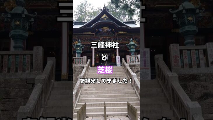 秩父で心が洗われた旅｜三峯神社と芝桜に癒される一泊二日 #三峰神社  #シニア  #shorts