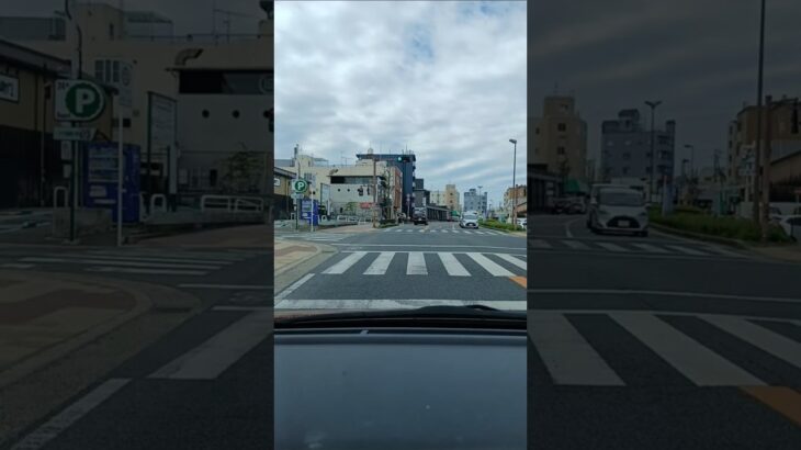 ライブ ハイライト～シニア応援歌♪#健康 #長生き #旅行 #shorts