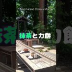 『出羽三山　生まれ変われの旅』 #シニア#旅行