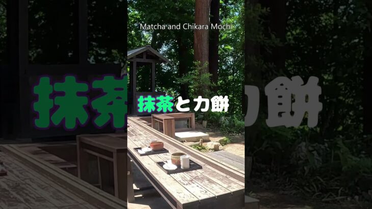 『出羽三山　生まれ変われの旅』 #シニア#旅行