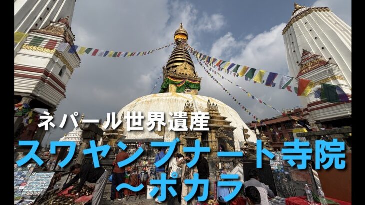【シニア旅】カトマンズスワヤンブナート寺院とダルバール広場からポカラへ#世界遺産 #ネパール #ポカラ