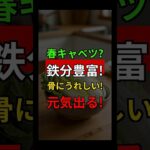 春キャベツビビンバをヘルシーに食べる方法｜シニア健康