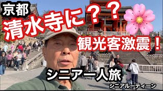 #京都、#清水寺、に？？観光客激震！、#シニア一人旅、#シニアルーティーン
