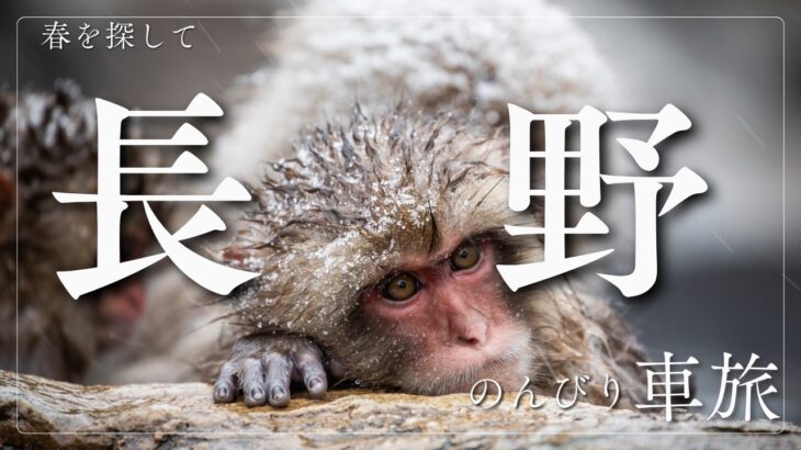 シニア夫婦の徘徊？旅行？　善光寺参りとお猿さん