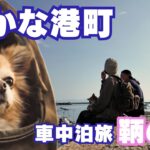 【キャンピングカー旅】こんな穏やかな港町だったのか/シニア夫婦とチワワがグッときた旅
