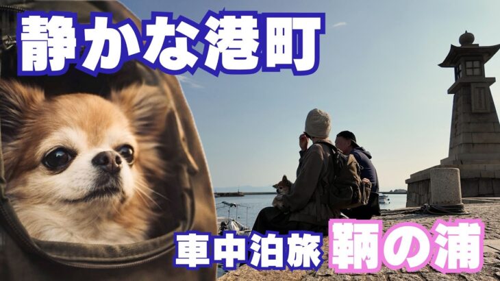 【キャンピングカー旅】こんな穏やかな港町だったのか/シニア夫婦とチワワがグッときた旅