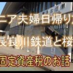 【シニア夫婦日帰り旅】長良川鉄道に乗る　桜を見ながら　固定資産税の話も