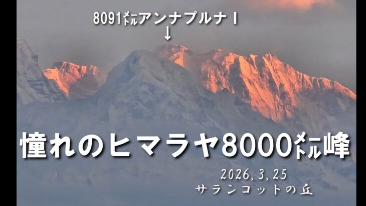 【シニアのネパール旅】サランコットの丘#ネパール # ヒマラヤ山脈