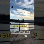 シニア女性イギリス旅🇬🇧  マンチェスター編