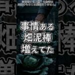 👉 【スカッと】年金足りない畑泥棒、捕まえたら増えてた