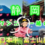 【６０代シニア旅】　静岡の日本平と世界遺産富士山を見に行こう！
