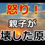 【シニアライフ】のらりくらり年金生活　義弟を溺愛する義母！欲の義弟！これが親子が崩壊した原因【のらりくらり年金生活チャンネル】