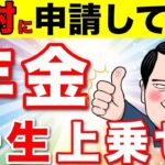 🪭【絶対申請して！】政府からのボーナス！年金が増額する制度について対象者や金額について解説！【年金生活者支援給付金⧸振替加算⧸年金改正】🪭